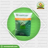 لوبیا سبز کشتزار