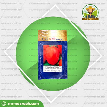 گوجه فرنگی ثنا پاکتی