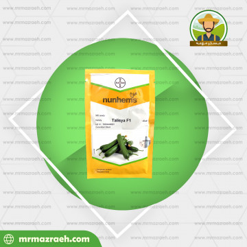 خیار گلخانه ای تالیسیا