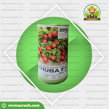 گوجه فرنگی ژوبا